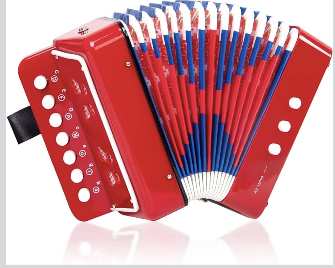 🎶 Kids' Colorful Accordion 🎶
