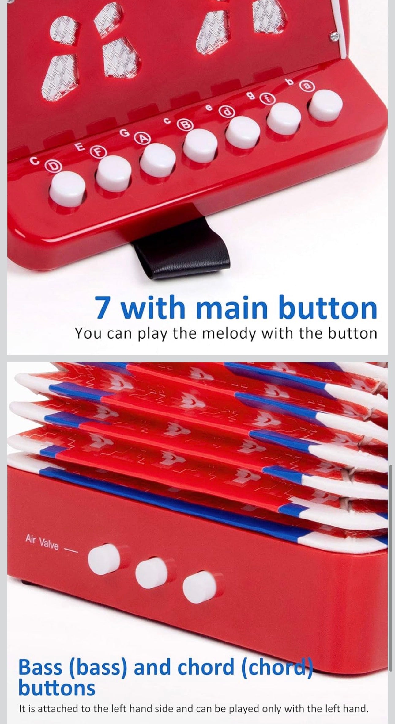 🎶 Kids' Colorful Accordion 🎶