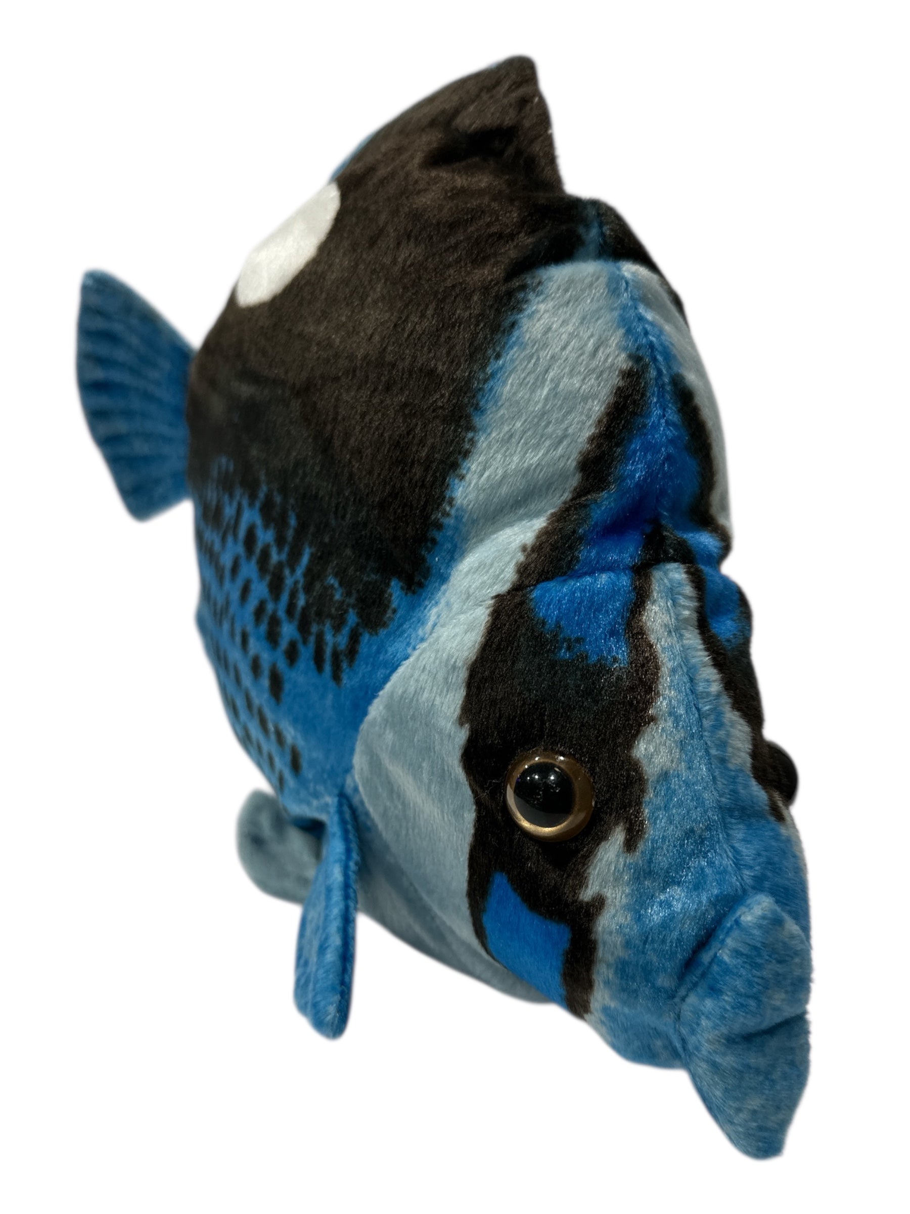 Big Size Wild Animals Blue Fish 15" Blue Black Ocean Fish Plush