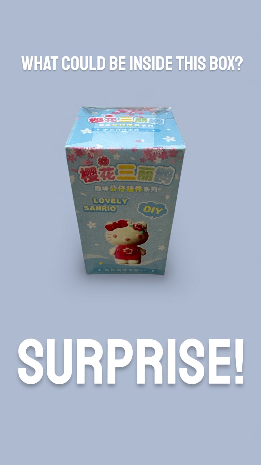 HELLO KITTY SURPRISE BOX KEYCHAIN BOX 2"